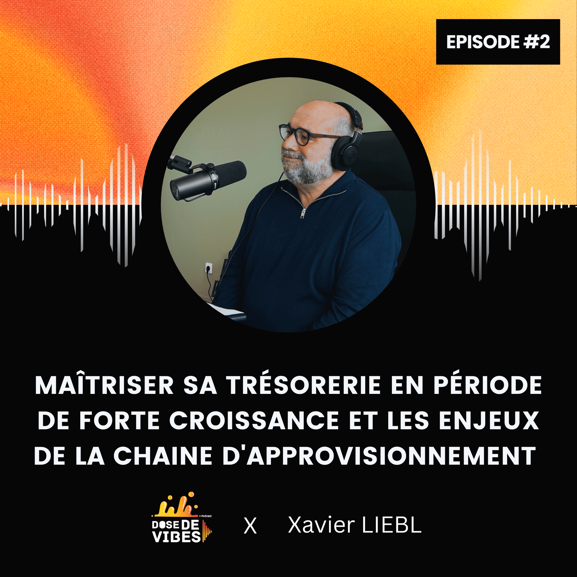 D2V Xavier Liebl